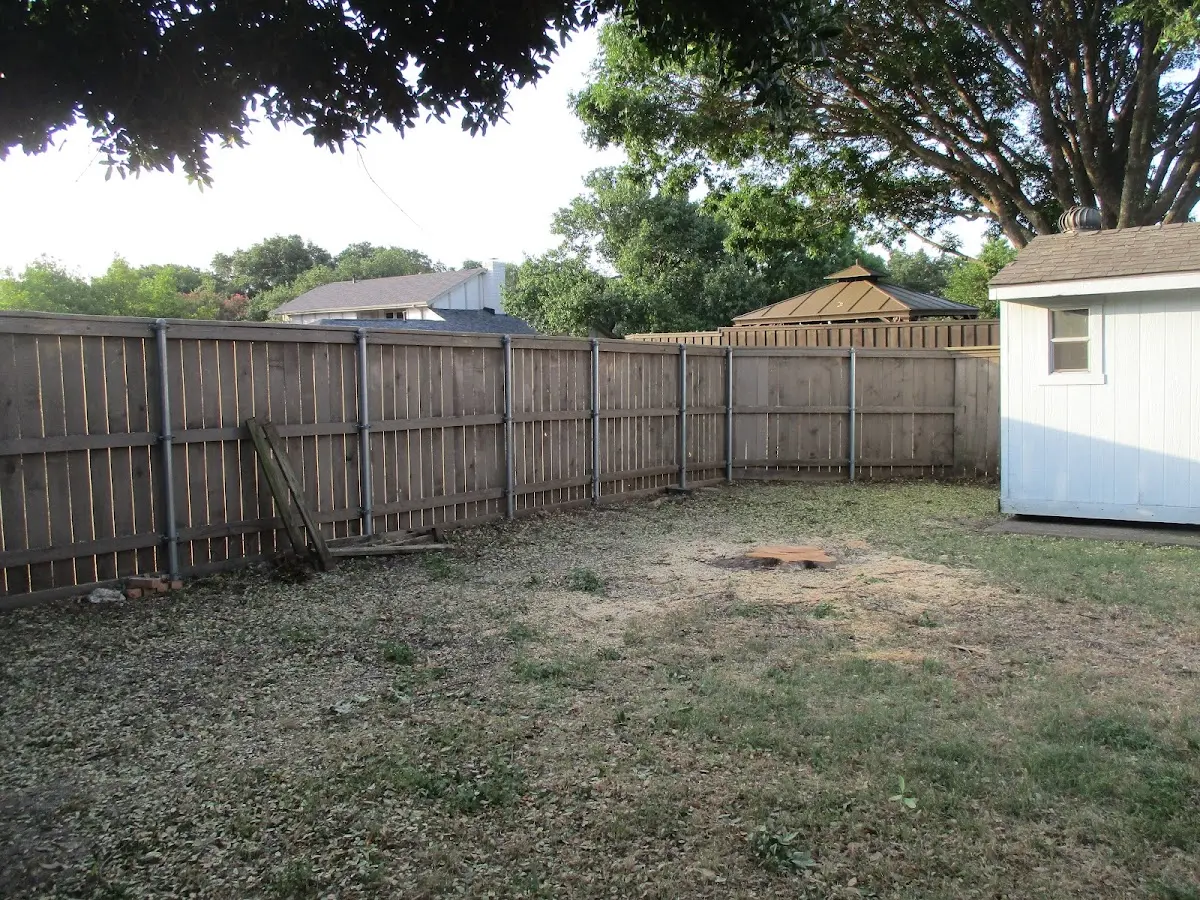 Cleared yard after professional tree removal in Ashfield